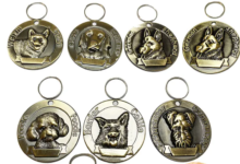 Do You Have To Have a Dog Tag by Law