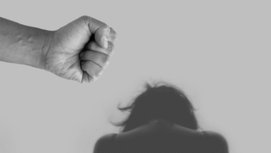 Understanding the Legal Implications of VAWA for Immigrants