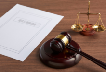 Elder Law for Dummies